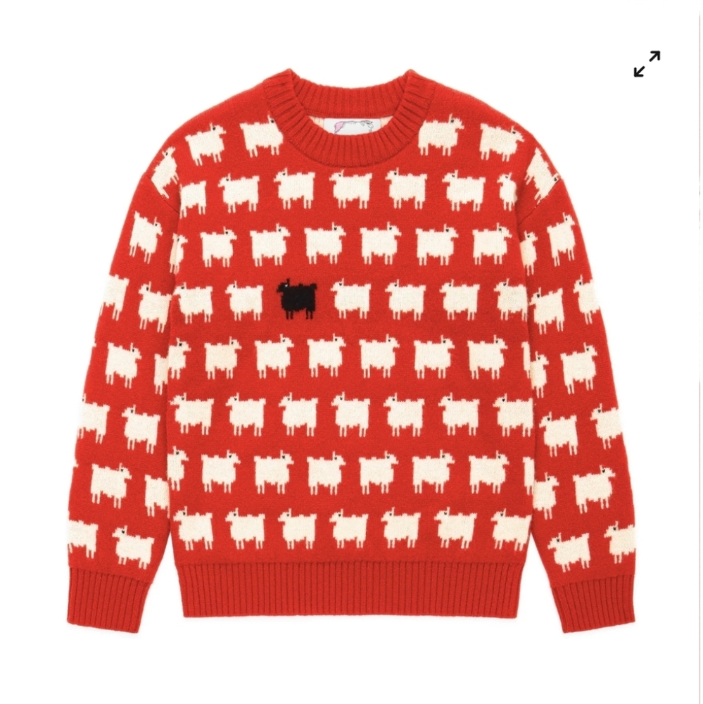 Warm&Wonderful & Rowing Blazers Diana Edition Wool Sheep Sweater Red XS NWOT - Picture 3 of 10